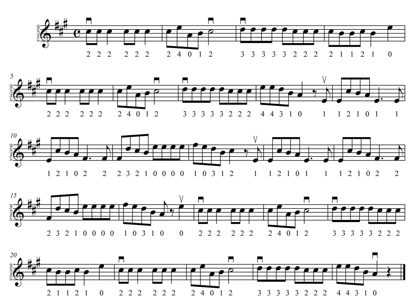 Partitions - Papillon